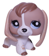 #2207 Beagle
